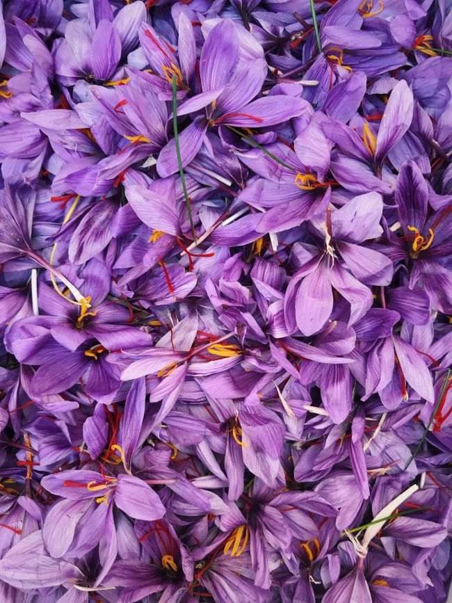 saffron saffron
